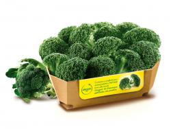 Broccoli rosette GM